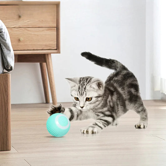 Katten Bouncebal™ - Maak jou kat gelukkig en actief